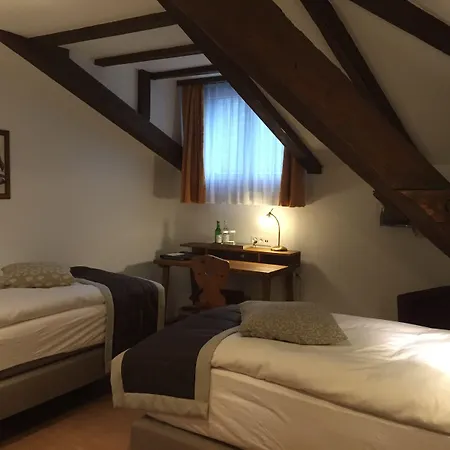 Hotel Stern 4*