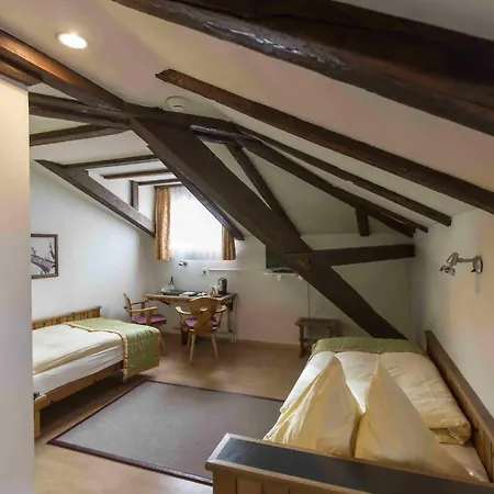 Stern Hotel 4*